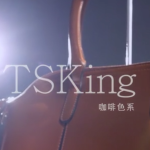 TSKing優雅奢華設計師包款